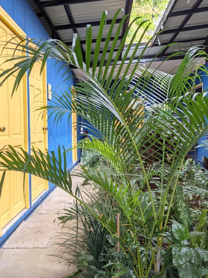 Guesthouse Congo Tempisque Liberia Dış mekan fotoğraf